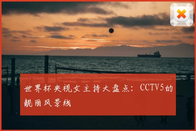 世界杯央视女主持大盘点：CCTV5的靓丽风景线