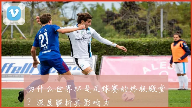 为什么世界杯是足球赛的终极殿堂？深度解析其影响力