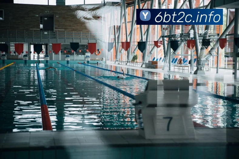 j9国际站官网入口APP 封面图